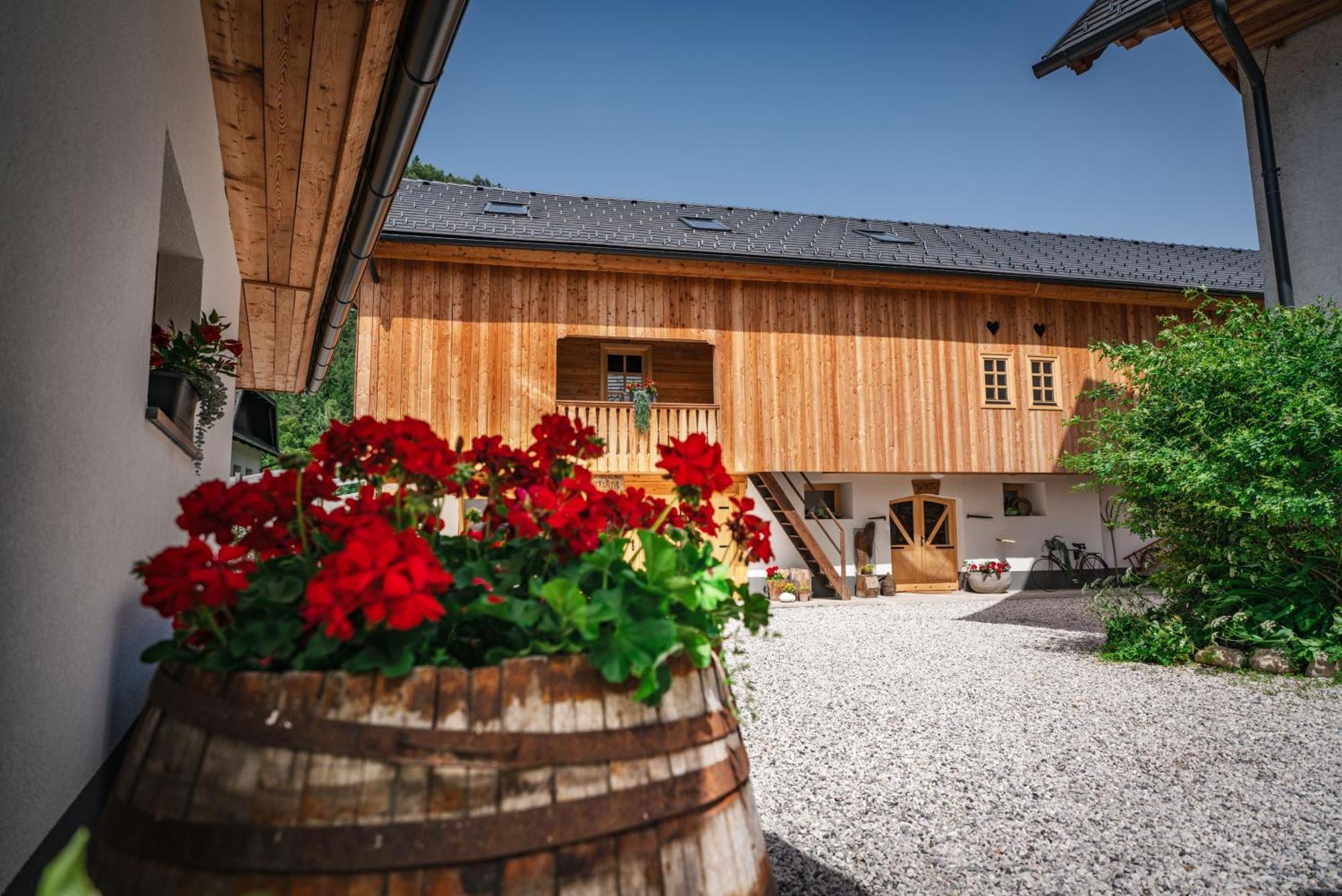 Country House Trata Kranjska Gora Exteriér fotografie